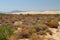 Kelso Dunes in California