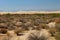 Kelso Dunes Landscape California