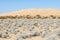 Kelso Dunes, Mojave National Preserve