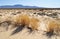 Kelso Dunes, Mojave National Preserve