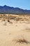 Kelso Dunes, Mojave National Preserve