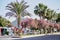 Kemer, Turkey - May 24, 2021: Turkish urban view: promenade with blooming trees, palms, green nature, cars and road