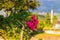 KEMER, TURKEY: View of the minaret of the Mosque Kemer Cami and the pink flower on a sunny day.