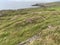 Kenare Bay at Inward Ardgroom, Beara, Ireland