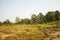 Kendai fall a picnic spot at korba , chhattisgarh, india