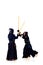 Kendo fighters
