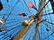 Kenosha Tall Ships 2019 Festival