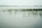 Kenozero lake with Water Sedge. Peaceful evening.