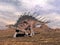 Kentrosaurus dinosaur in the desert - 3D render