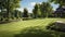 Kentucky Bluegrass Yard Ideas And Lawn Maintenance Services