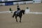 Kentucky Horse Park Three Day Event 2021 A - VIII