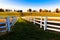 Kentucky Thoroughbred Horse Farm