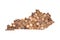 Kentucky, USA, State Map Outline and Piles of United States Pennies and Coins