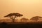 Kenya Landscape