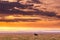 Kenya Landscape Sunset Sunrise Lone Tree Golden Dramatic Clouds Discover Lone Wildebeest Wildlife Wild Animals Grazing