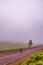 Kenya Roads Highway Morning Fog Mist Tea Leaves plantations Along The Road Farming Field Plants Meadows Foilage In Kiambu