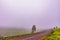 Kenya Roads Highway Morning Fog Mist Tea Leaves plantations Along The Road Farming Field Plants Meadows Foilage In Kiambu