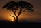 Kenya Sunset, Africa