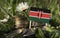 Kenyan flag with stack of money coins with grass