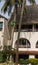 Kenyan gardener climbing down palmtree