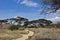 Kenyan landscape. The footpath meanders and goes into the distance.