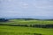 Kenyan Landscapes Nature Tea Leaf Farm Large scale estate plantations fields meadows Agriculture Kericho County Kenya East Africa