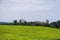 Kenyan Landscapes Nature Tea Leaf Farm Large scale estate plantations fields meadows Agriculture Kericho County Kenya East Africa