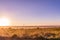 Kenyan Sunset Sunrise Nature Landscape Clouds Sky In Nairobi National Park Kenya East Africa Savannah Grassland Golden Hours