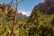 Kenyatta trail view of the Virgin river  and the Watchman mtn