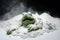 Kermit the Frog in a White Powder Pile. Creative Design for Posters and Invitations.