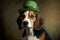 Kerry Beagle in green hat. International celebration of the St. Patrick\\\'s Day.