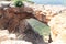 Keshet Cave - ancient natural limestone arch spanning the remains of a shallow cave with sweeping views near Shlomi