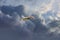 Kestrel bird of prey hovers against a dramatic sky with colorfull blue and gray clouds, hunting for prey. Background