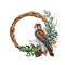 Kestrel bird with vine twisted wreath, forest herbs, leaves. Watercolor illustration. Hand drawn American kestrel with