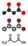 Ketone body (acetoacetic acid, diacetic acid) molecule