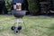 Kettle barbecue charcoal grill roasting BBQ standing on gras ready for action