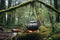 kettle hanging over campfire surrounded by wild herbs in forest