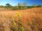 Kettle Moraine Prairie Landscape Wisconsin