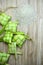 Ketupat casing and raw rice on wooden background