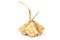 Ketupat food. Malaysian or Indonesian traditional food on white background