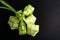 Ketupat Rice Dumpling On Black Background