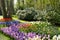 The Keukenhof, Dutch Public Spring Flowers Garden