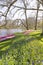 Keukenhof overview portrait