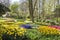 Keukenhof overview in springtime with a lot of flowers landscape