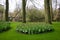 Keukenhof park of flowers and tulips in the Netherlands
