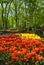 Keukenhof2008