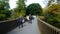 Kew Botanical Gardens Sackler Crossing Bridge.