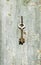 The key hanging on a nail on a wooden wall. Textured background