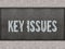 KEY ISSUES painted on metal panel wall.