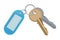 Key and keychain. Vector illustration isolate on white